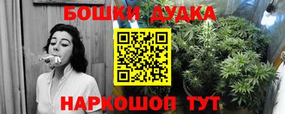 шишки Ачхой-Мартан