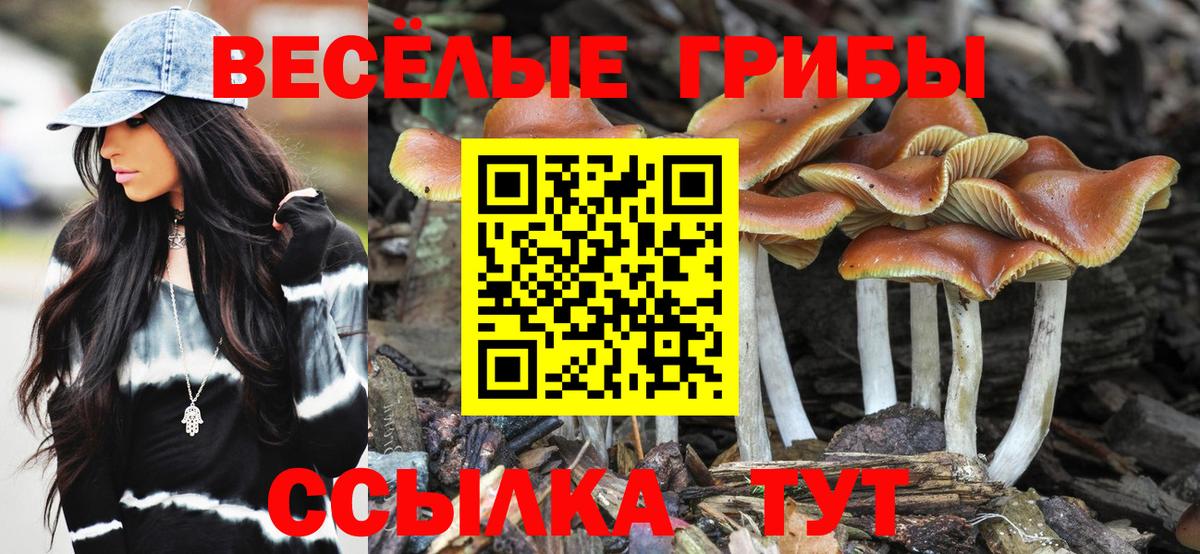 Галлюциногенные грибы MAGIC MUSHROOMS Минусинск